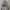 Made In USA Y2K Pea Coat Pria White