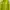 MUSINSA STANDARD Casual Formal shirt Pria green photo 3