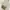 Luxury Minimalist Crossbody Bag Wanita gold photo 1