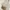 Luxury Minimalist Crossbody Bag Wanita Gold