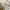 Luxury Minimalist Crossbody Bag Wanita gold photo 2
