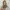 Luxury Minimalist Crossbody Bag Wanita gold photo 5