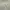 Fear of God ESSENTIALS Streetwear Hoody Pria tan photo 5