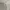 Fear of God ESSENTIALS Streetwear Hoody Pria tan photo 1