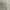 Fear Of God ESSENTIALS Streetwear Hoody Pria Tan