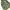 SLY Grunge Avant Garde Parka Pria green gray photo 2