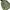 SLY Grunge Avant Garde Parka Pria Green Gray