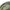 SLY Grunge Avant Garde Parka Pria green gray photo 5