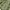 SLY Grunge Avant Garde Parka Pria green gray photo 3