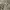 SLY Grunge Avant Garde Parka Pria green gray photo 8