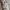 SLY Grunge Avant Garde Parka Pria green gray photo 6