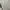 Casual Sweatshirt Pria gray photo 3
