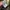 SLY Avant Garde Futurist Bomber jacket Wanita green photo 6