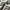 Adidas Streetwear Casual Sneakers Pria black cream photo 2