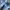 Adidas Streetwear Casual Sneakers Pria White Blue