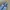 Adidas Streetwear Casual Sneakers Pria white blue photo 3