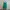 Prada Luxury Casual Blouse Wanita Green
