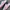 Adidas Streetwear Casual Sneakers Wanita white pink photo 2
