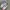 Adidas Streetwear Casual Sneakers Wanita white pink photo 3
