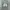 Adidas Indie Casual Sneakers Pria white green photo 3