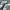 Adidas Indie Casual Sneakers Pria white green photo 2