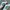 Adidas Indie Casual Sneakers Pria White Green