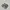 New Balance Casual Sneakers Pria Gray
