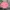 Uniqlo Streetwear Casual Casual shirt Pria pink photo 1