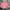 Uniqlo Streetwear Casual Casual Shirt Pria Pink
