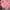 Uniqlo Streetwear Casual Casual shirt Pria pink photo 2