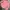Uniqlo Streetwear Casual Casual Shirt Pria Pink