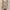 Minimalist Bodycon dress Wanita cream photo 1