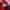 Puma Casual Sneakers Pria white red photo 6