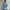 Streetwear Muslim Casual shirt Pria blue photo 7