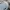 Zara Streetwear Muslim Casual shirt Pria blue photo 6