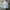 Zara Streetwear Muslim Casual shirt Pria blue photo 5