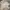 GU Streetwear Casual Casual pants Pria tan photo 4