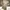 GU Streetwear Casual Casual Pants Pria Tan