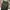 GU Streetwear Casual Casual pants Pria green photo 5