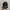Have A Good Time Streetwear Hat Pria Black