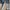 Streetwear Biker Jeans Pria white black photo 3