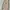 ZARA Minimalist Bodycon Dress Wanita Pink