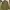 Streetwear Casual Casual shirt Pria green photo 5