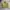 Ben Davis Streetwear Leather jacket Pria khaki photo 1