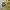 Ben Davis Streetwear Leather jacket Pria khaki photo 4