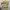 Ben Davis Streetwear Leather jacket Pria khaki photo 3