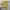Ben Davis Streetwear Leather jacket Pria khaki photo 2
