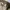 Ben Davis Streetwear Leather jacket Pria khaki photo 5