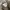 Ben Davis Streetwear Leather jacket Pria khaki photo 6