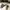 Converse Vintage Boots Pria white black photo 2